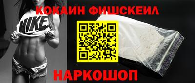 СК Кингисепп