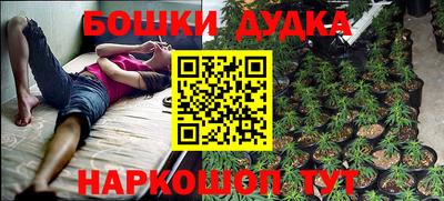 прущие крисы Кинель