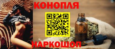 СК Кингисепп