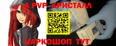 СК Кингисепп