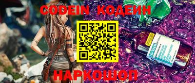 СК Кингисепп