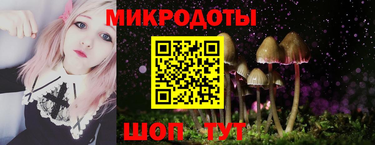 Галлюциногенные грибы прущие грибы  Псилоцибиновые грибы Psilocybine cubensis  Вход с VPN  Черняховск 