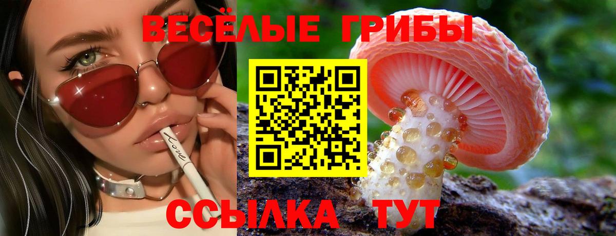 Псилоцибиновые грибы MAGIC MUSHROOMS Черняховск